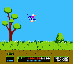 Duck Hunt