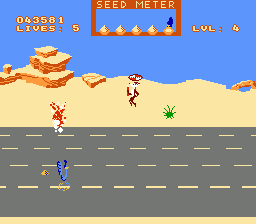 Road Runner